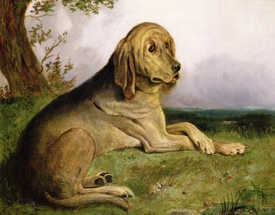 Um Bloodhound em uma paisagem (óleo) de English School
